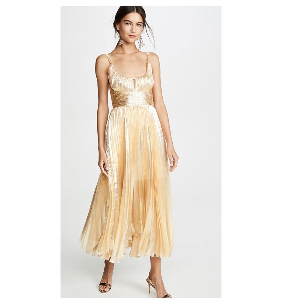 Maria Lucia Hohan Amalia Lame' Plisse' Midi Dress